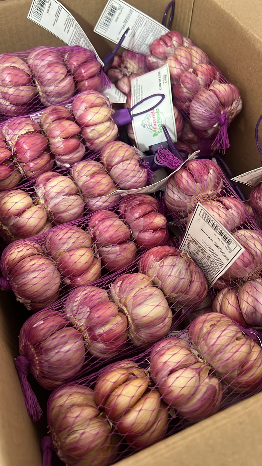 WhatsApp Image 2025-08-15 at 16.13.43.jpeg