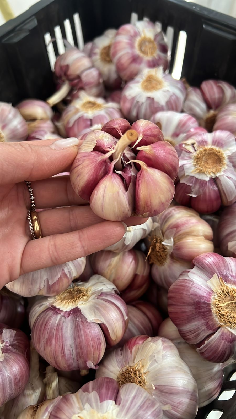 WhatsApp Image 2025-08-15 at 16.13.43 (2).jpeg